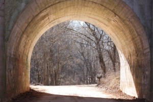 Bright Water Railroad Bridge